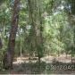 000 Maryland Avenue, Hawthorne, FL 32640 ID:4031322