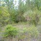 North SR 21, Hawthorne, FL 32640 ID:4031595