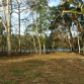 5170 80th Ave, Bell, FL 32619 ID:4052591