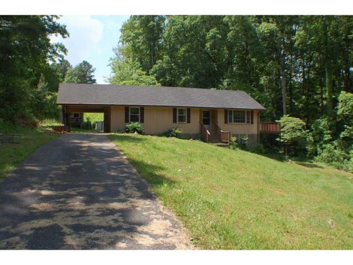 206 Lewis Manous Lane, Canton, GA 30115