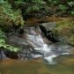 0 Falls Trail, Jasper, GA 30143 ID:5556894