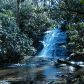 0 Falls Trail, Jasper, GA 30143 ID:4703428