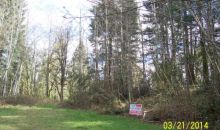 19444 Abbey Ln Bucoda, WA 98530