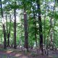 1520 Moss Patch Trail, Jasper, GA 30143 ID:2459449