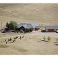 1599 E County Road 82, Wellington, CO 80549 ID:8446553