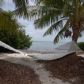 361 Avenue D, Summerland Key, FL 33042 ID:8393615