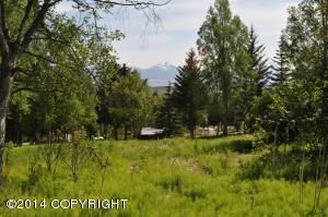 L28 Golden Plover Avenue, Homer, AK 99603