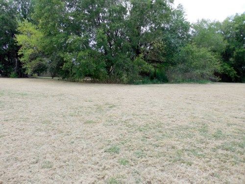 Lot 6 Meadowview Drive, Campbell, TX 75422