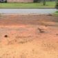 13793 Blake Dr, Tuscaloosa, AL 35405 ID:8533452