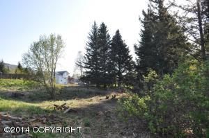 4982 Clover Lane, Homer, AK 99603