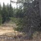 40386 MISTY RIDGE Road, Homer, AK 99603 ID:8456773