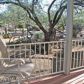 30515 S QUARRY Lane, Congress, AZ 85332 ID:4095936