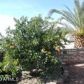 67661 Alpine --, Salome, AZ 85348 ID:4106696