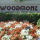 7355 WOODMONT TE # 203, Fort Lauderdale, FL 33321 ID:7383089