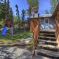 17530 Baronoff Avenue, Eagle River, AK 99577 ID:8531900