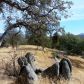 30771 Morgan Rd, Prather, CA 93651 ID:1140833