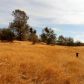 30771 Morgan Rd, Prather, CA 93651 ID:1140836