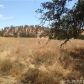 14617 Canvas Back Ln, Prather, CA 93651 ID:1140852