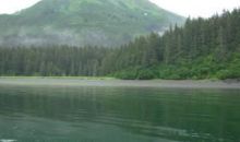 L12 Silent Shores Homer, AK 99603