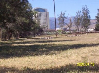 Lot 174, Cabazon, CA 92230