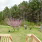 1191 Newtown Church Road Ne, Calhoun, GA 30701 ID:7631435