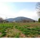 6736 Shoal Creek Road, Clermont, GA 30527 ID:7159062