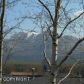 3131 Brookridge Circle, Anchorage, AK 99504 ID:8099431