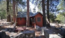 9501 Falls Rd. Forest Falls, CA 92339