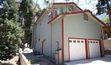 9397 Canyon Place Forest Falls, CA 92339