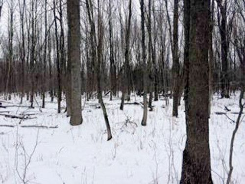 96 Acres Stonecroft Dr, Port Washington, WI 53074