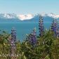 3035 Kachemak Drive, Homer, AK 99603 ID:8410127