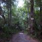 0 Reed Grove Rd, Oak Hill, FL 32759 ID:1726911