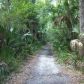 0 Reed Grove Rd, Oak Hill, FL 32759 ID:1726912