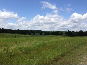 0 CO RD 358, Crane Hill, AL 35053