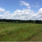 0 CO RD 358, Crane Hill, AL 35053 ID:8591005