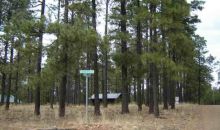 1672 Merzville Rd Lot 27 Forest Lakes Forest Lakes, AZ 85931