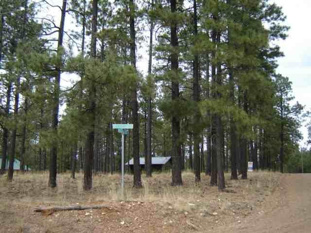 1672 Merzville Rd Lot 27 Forest Lakes, Forest Lakes, AZ 85931