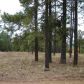 1672 Merzville Rd Lot 27 Forest Lakes, Forest Lakes, AZ 85931 ID:3225196