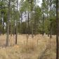 1672 Merzville Rd Lot 27 Forest Lakes, Forest Lakes, AZ 85931 ID:3225197