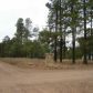 1672 Merzville Rd Lot 27 Forest Lakes, Forest Lakes, AZ 85931 ID:3225199