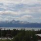 57360 E East End Road, Homer, AK 99603 ID:8605454