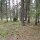 3095 Old Rim Rd, Forest Lakes, AZ 85931 ID:3225191