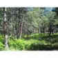 2320 Turkey Trail, Forest Lakes, AZ 85931 ID:3225204