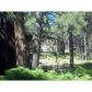 2320 Turkey Trail, Forest Lakes, AZ 85931 ID:3225205