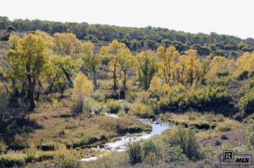 TBD Routt County Road 80 & 56, Hayden, CO 81639