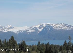 L5 Marlea, Homer, AK 99603