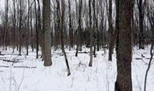 96 Acres Stonecroft Dr Port Washington, WI 53074