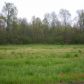 COUNTY ROAD 1598, Baileyton, AL 35019 ID:8555406