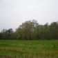 COUNTY ROAD 1598, Baileyton, AL 35019 ID:8555409