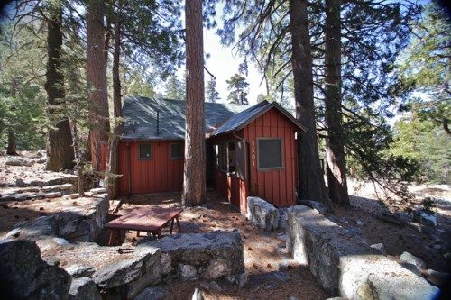 9501 Falls Rd., Forest Falls, CA 92339